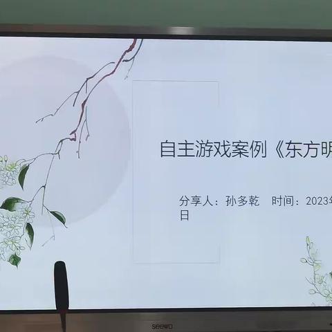 自主游戏案例(11.15港湾幼儿园下午半日教研活动)