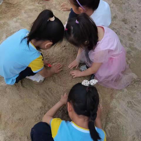 小沙池，大乐趣