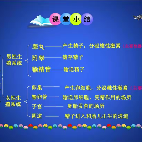 这一次期中考试，人的生殖发育成为重点