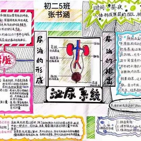 延安市实验中学初2022级 生物思维导图活动