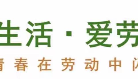 ［劳动赋能］享劳动之乐趣，悟劳动之幸福——三（1）班蓝宝石中队劳动周花絮