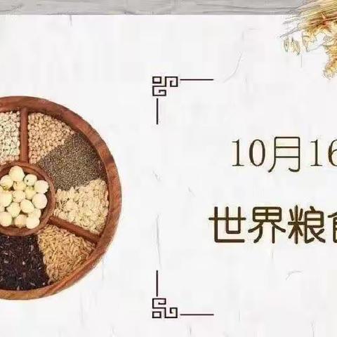 【活动播报】珍惜粮食 从我做起 ——城北国际村六一幼儿园“世界粮食日”主题系列活动