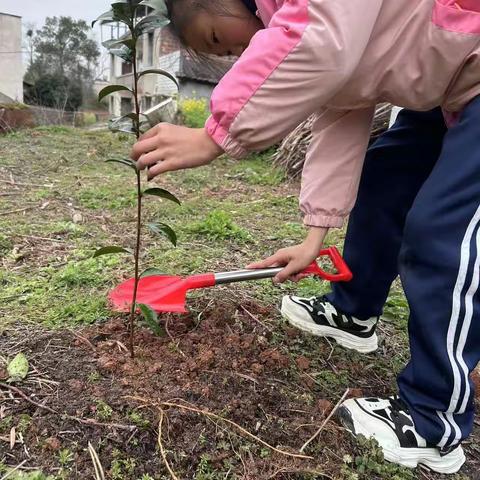 春风十里，植此青绿