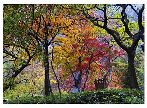 “教”学路漫漫 “研”途皆风景