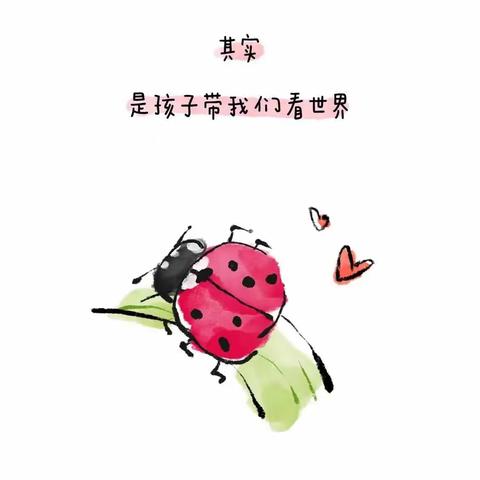 教育需要小满，童年需要留白