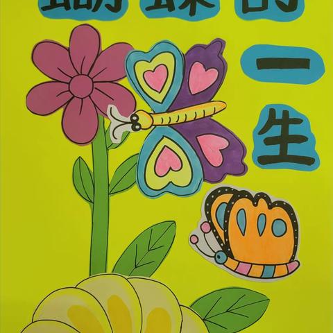 🦋《蝴蝶的一生》🦋