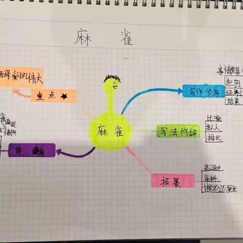 鲲鹏队四年级合作学习报告汇总11.4