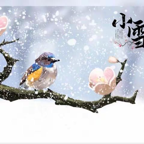 【全环境立德树人】“幼”见小雪，温暖迎冬——泗水县实验幼儿园清华苑“小雪”节气主题活动