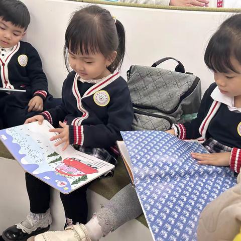 广州市良田中心幼儿园蒙一班《书》方案