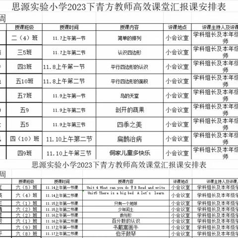 前行·成长—思源实验小学“青蓝工程”青方汇报课展示活动