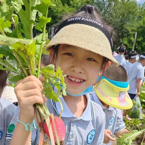 【你好 夏天☁️】 蓝莓果幼儿园农场半日游