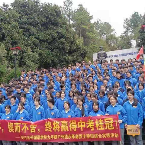 成功不是偶然，汗水铸就辉煌