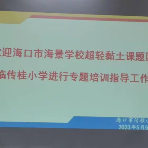 砥砺深耕，笃行致远——《小学美术超轻粘土校本课程的开发与实施》省教育科学规划成果应用类课题培训活动