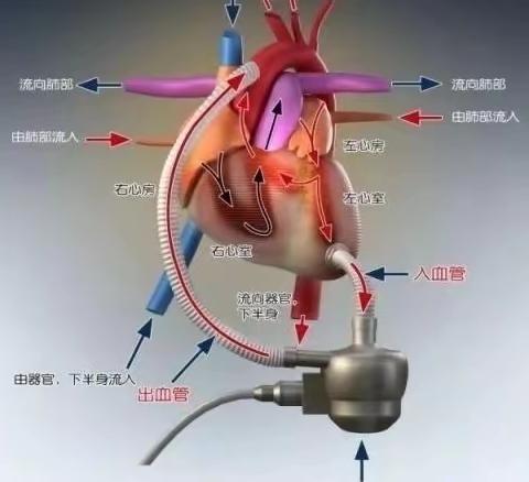 曲周县中医院心内科医生张俊卿