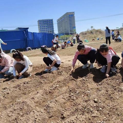 “除草整地农耕忙  寓教于乐满园芳” 第三实验小学种植园记录——五一劳动篇