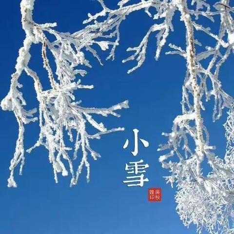 ❄️小雪到 冬始俏❄️