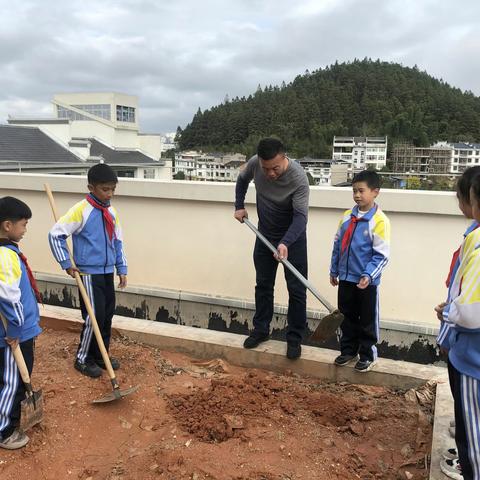 体验辛勤劳动  收获硕果累累
----陵阳小学四三中队蔬菜种植实践活动