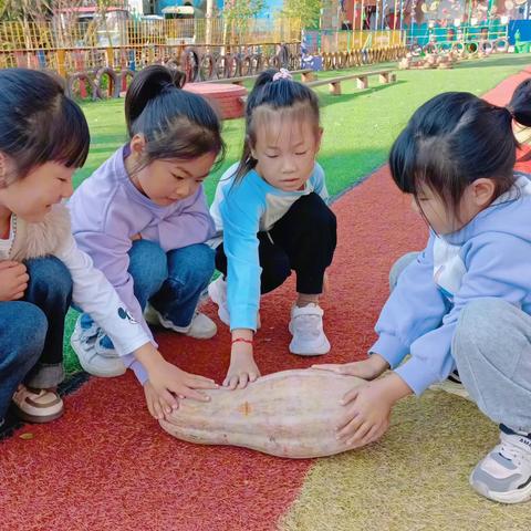 新区幼儿园❤️“秋收冬藏，五谷丰登”运动会