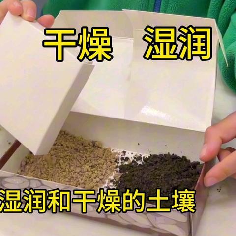 蚯蚓日记 宁波市实验学校 207班 毛佳翔