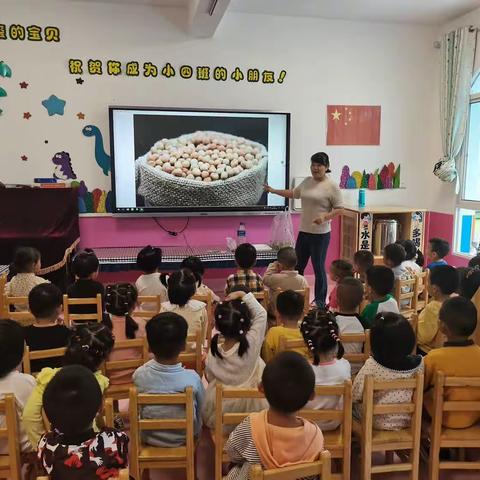 喜悦丰收，“食”分有趣—小四班小菜园豌豆种植收获篇