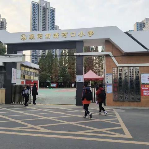 襄阳市清河口小学“我的课本是森林”——研学实践教育活动