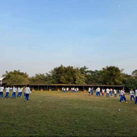 知耕知种，身体力行；顺应自然，美好人生——记港湾中学初二级学农活动