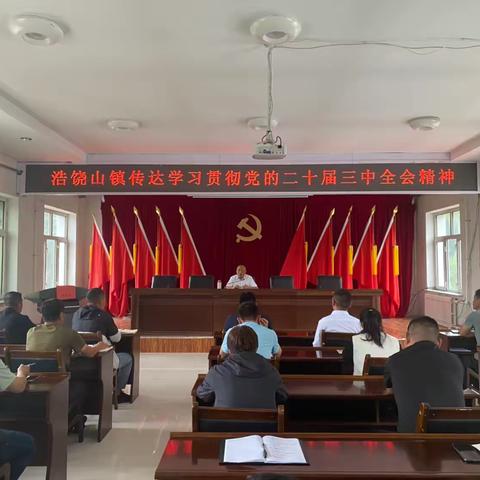 深学细悟 笃行实干—— 浩饶山镇推动学习贯彻党的二十届三中全会精神走深走实