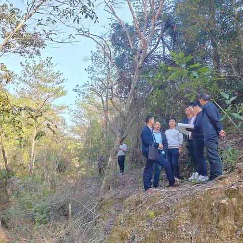 清流县灵地镇坑甲村坑源泥石流治理工程进行技术交底