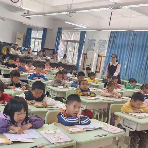 幼小赋能，躬耕衔接之路