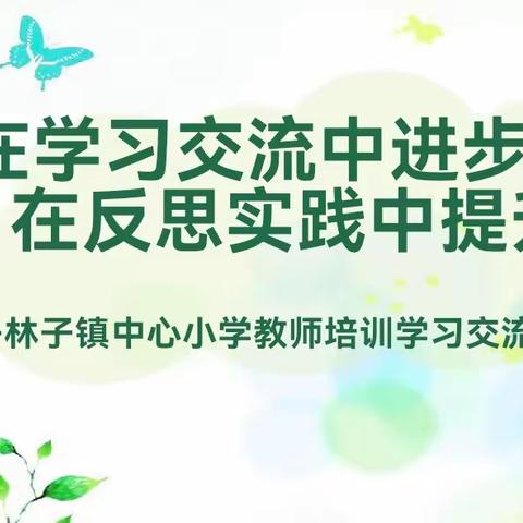 “在学习交流中进步，在反思实践中提升”——林子镇中心小学教师培训学习交流研讨会纪实