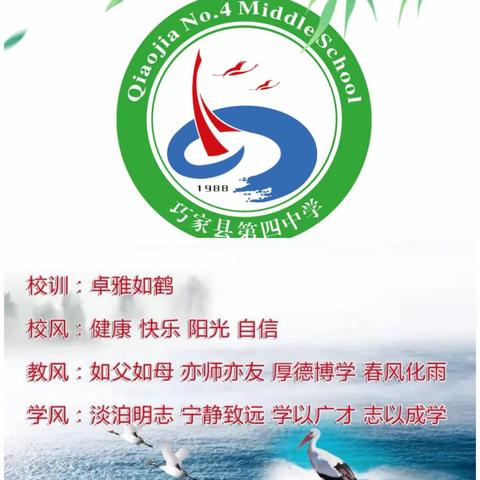 以教研之光，照亮教学之路——九年级化学教研组