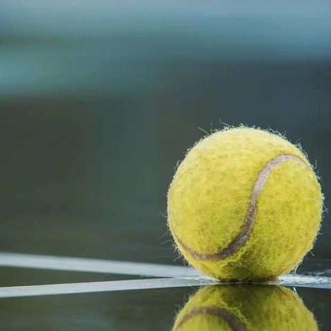 一个网球🎾