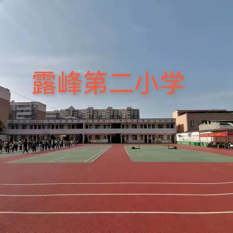 学以致远，研以促教，助力师生共成长露峰第二小学教科研活动月简报