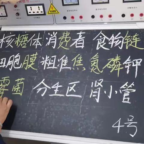 教师教学技能竞赛观课感想