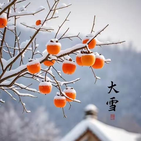 冷水江市第一小学五（6）班大雪实践活动
