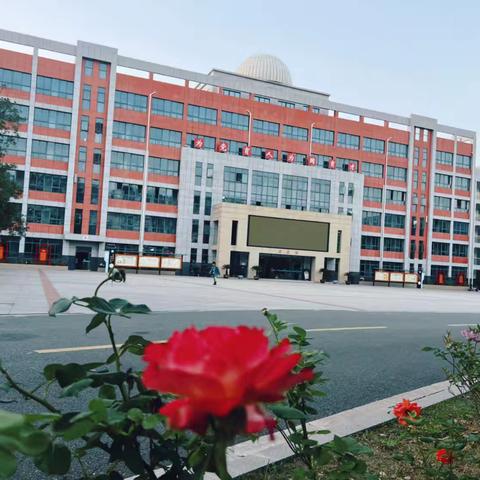 让红领巾更鲜艳——洞山中学二年级组开展“爱护红领巾”五一假期实践活动