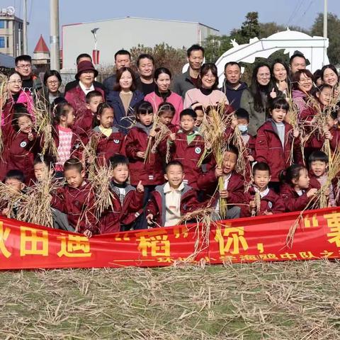 秋田遇“稻”你，“薯”你最美---环城小学海鸥中队之秋季研学