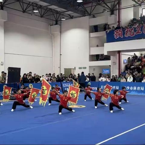 望一观音湖武术队“快乐之星”武术比赛再战辉煌