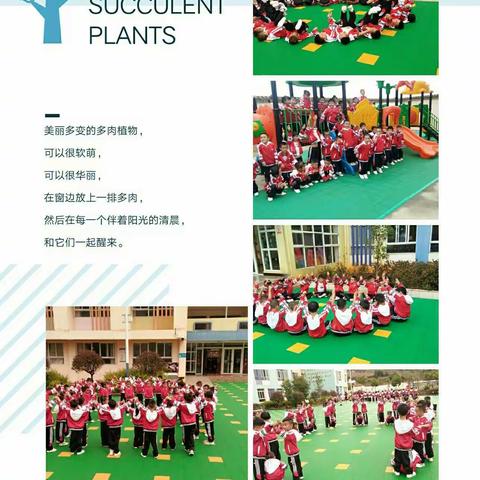 羊场镇中心幼儿园2023年秋季学期中一班期末回顾