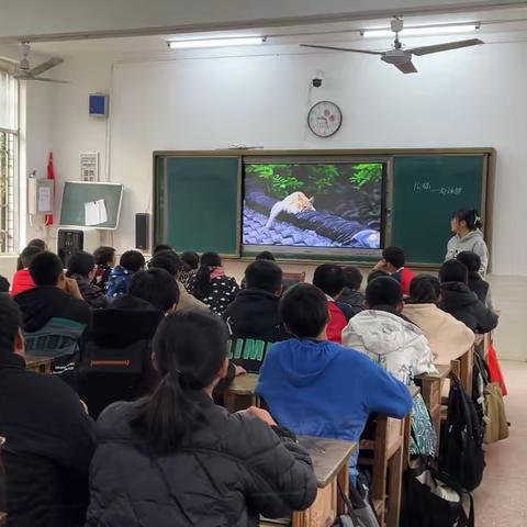 今日份营业喵——《猫》