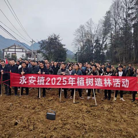 永安镇开展2025年植树节植树造林活动