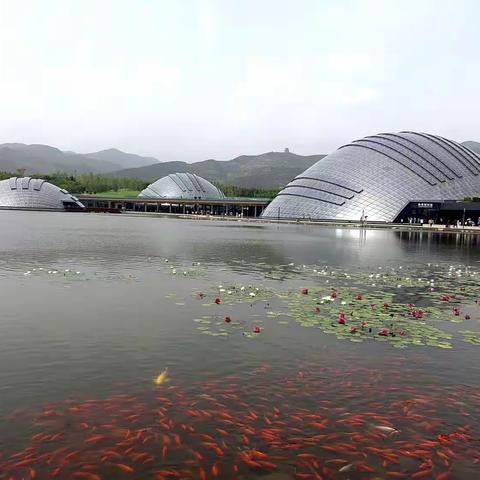 【附中学子这样过暑假】走进太原市植物园 探寻植物多样之美——忻州师范学院附属中学初一（8）班周垲渊