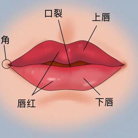 嘴唇越舔越干是怎么回事？