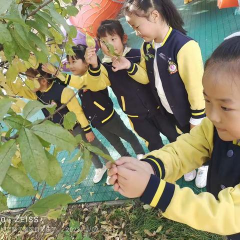 感受秋天的美🌾