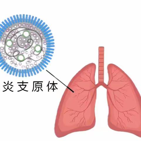 街小仁和路分校肺炎知识与预防