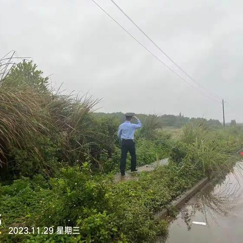 (11月29日)龙泉镇人民政府关于秸秆禁烧工作日报