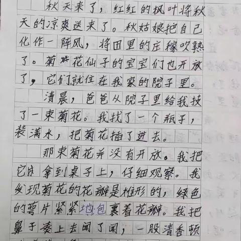 我们眼中的缤纷世界