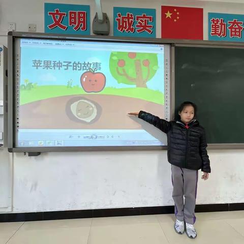 任丘市西环路白塔小学五年二班第三届苹果节项目式学习