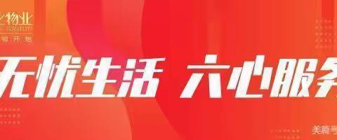 从心出发 温情不断 幸福不散【尚东尚筑社区2024年7月工作简报】