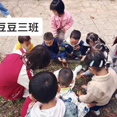 贵阳市白云区幸福里幼儿园的精彩瞬间